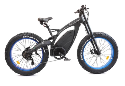 Ecotric Bison Electric Bike