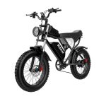Ridstar Q20 Electric Bike